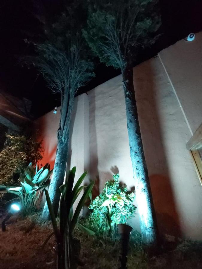 شقة نيكوتشيا  في Bosque 89 المظهر الخارجي الصورة